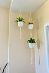 Mkono Macrame Plant Hangers with Pots 6.5 Inch Plastic Planter Included Indoor Hanging Planters Basket Holder (2 Plant Hangers and 2 Flower Pots) 41-Inch