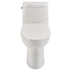 American Standard 5900A05G.020 Aqua Wash Non-Electric Bidet Seat for Elongated Toilets, 14.9 in Wide x 3.6 in Tall x 21.1 in Deep, White