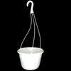 10" Diameter Contempo Swirl Hanging Basket, Green or White, by Landmark Plastics (10, White)