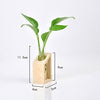 Ivolador Crystal Glass Test Tube Plant Terrarium Vase Flower Pots for Hydroponic Plants Home Garden Decoration