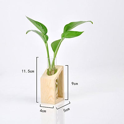 Ivolador Crystal Glass Test Tube Plant Terrarium Vase Flower Pots for Hydroponic Plants Home Garden Decoration