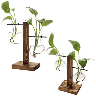 TRIEtree Glass Planter Bulb Vase Hydroponics Plants Flowerpot with Wooden Stand for Home Garden Wedding Decor