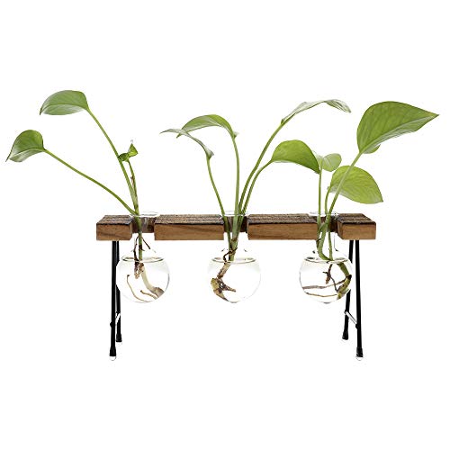 TITA-DONG Hydroponic Plant Vases with Wooden Stand, Plant Glass Container Stand Glass Planter Bulb Vase Metal Rotating Holder Air Plant Planter Office and Home Desktop Decoration