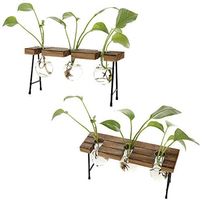 TITA-DONG Hydroponic Plant Vases with Wooden Stand, Plant Glass Container Stand Glass Planter Bulb Vase Metal Rotating Holder Air Plant Planter Office and Home Desktop Decoration
