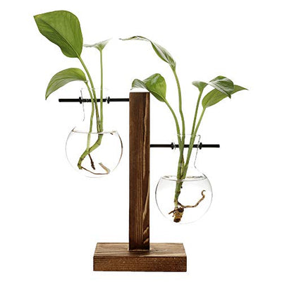 Clear Glass Planter Bulb Vase with Retro Wooden Stand and Metal Swivel Holder for Hydroponics Plants Decorating Your Life