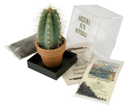 Grow Your own Saguaro Cactus Kit – Incubator – Cactus Seeds – Southwest Arizona Southwestern Gift Idea - Seed Propagation - Desert Souvenir