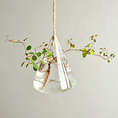 Ivolador Terrarium Container Flower Planter Hanging Glass for Hydroponic Plants Home Garden Decor -3 Type