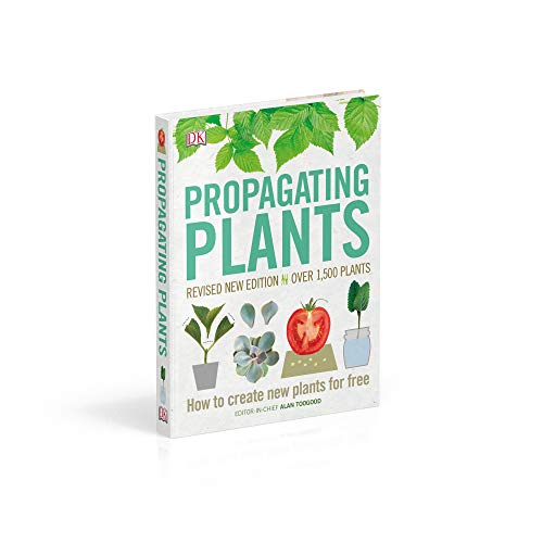 Propagating Plants: How to Create New Plants for Free
