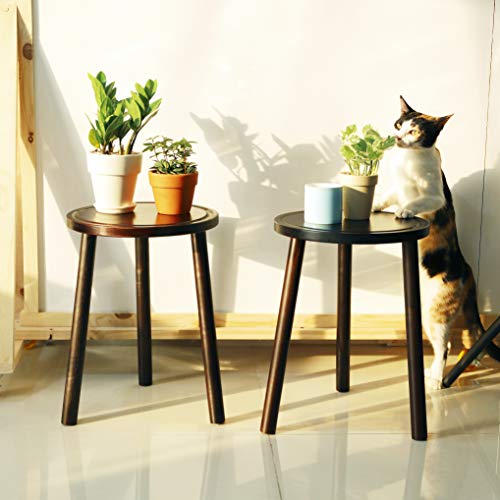 LITADA Wood Plant Stands (Set of 2) Mid Century Small Side Table, 15.8’’ Tall – Round Side End Table Flower Pot Holder Home Decor (Plant and Pot NOT Included) (15.8", Walnut)