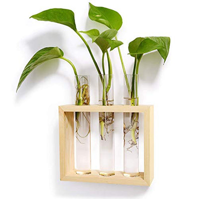 Mkono Wall Hanging Glass Planter Propagation Station Modern Flower Bud Vase in Burlywood Stand Rack with 5 Test Tube Tabletop Terrarium for Propagating Hydroponics Plants, Home Office Decoration