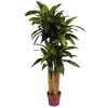 Nearly Natural 6648 4ft. Corn Stalk Dracaena Silk Plant (Real Touch),Green