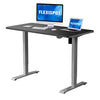 Flexispot Electric Height Adjustable Desk with Desktop, 48 x 30 Inches, Standing Desk Stand Up Desk Workstation (Silver Frame + 48 in Black Top)