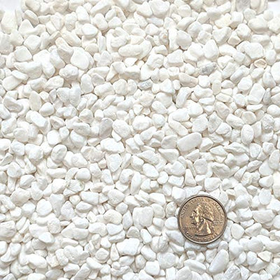 Midwest Hearth Natural Decorative White Bean Pebbles 1/5" Size (10-lb Bag)