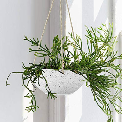 Speckled White Hanging Planter - 8 Inch Indoor Outdoor Hanging Plant Pot Basket, Flower Pot with Drainage Hole, Set of 2
