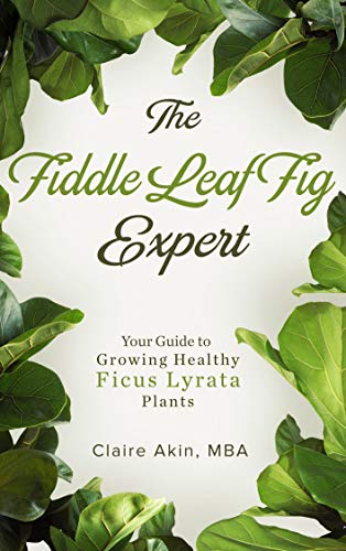 The Fiddle Leaf Fig Expert: Your Guide to Growing Healthy Ficus Lyrata Plants