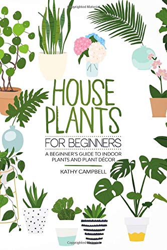 House Plants for Beginners: A Beginner’s Guide to Indoor Plants and Plant Décor