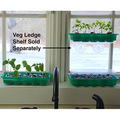 Window Garden - Herb Starter Kit - Grow Your Own Food. Germinate Seeds on Your Windowsill Then Move to a Patio Planter or Vegetable Patch. Mini Greenhouse System Make’s it Foolproof, Easy and Fun.