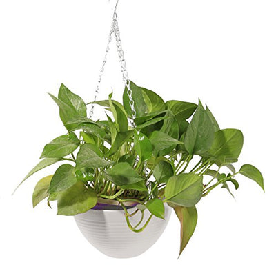 HMANE Hanging Flower Plant Pot, Chain Plastic Basket Planter Holder Patio Home Decoration - 7.87x7.87x5.51inch
