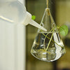 Ivolador Terrarium Container Flower Planter Hanging Glass for Hydroponic Plants Home Garden Decor -3 Type