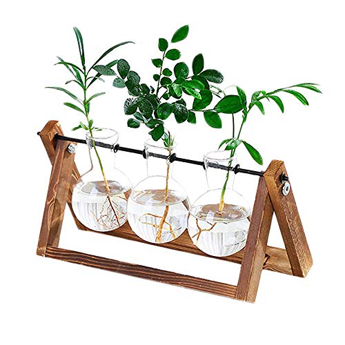 Plant Terrarium Wooden Stand, Desktop Glass Planter Bulb Vase with Retro Solid Wooden Stand and Metal Swivel Holder for Hydroponics Plants Home Garden Office Wedding Decor (3 Bottle)