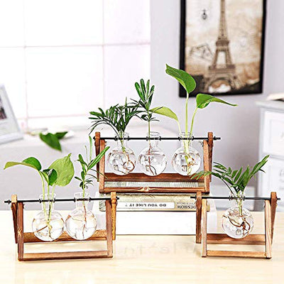 Plant Terrarium Wooden Stand, Desktop Glass Planter Bulb Vase with Retro Solid Wooden Stand and Metal Swivel Holder for Hydroponics Plants Home Garden Office Wedding Decor (3 Bottle)