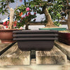 3 Pack of 8” Bonsai Training Pots | Classic Deep Brown Bonsai Training Pots and Humidity Trays with Built in Mesh. Made from Durable, Shatter-Proof Poly-Resin.