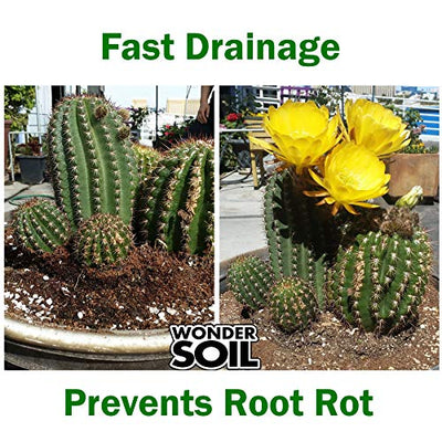 Wonder Soil | Premium Cactus Soil & Succulent Soil Mix. Nutrient Rich Coco Coir Expands 3 Lbs Bag to 12 Quarts of Indoor Outdoor Cactus & Succulent Potting Soil. Incl Worm Castings,Mycorrhizae,Pumice
